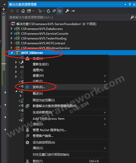 贴图图片-发布cs5WCF服务0