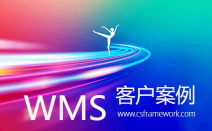 WMS-北京某公司智能仓储管理系统-CSFrameworkV5旗舰版成功案例