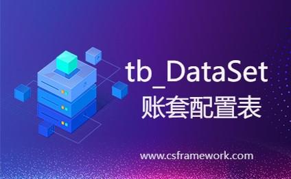 tb_DataSet表(账套数据库配置表)详解-C/S开发框架