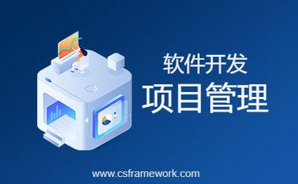 图解软件开发-项目管理基础-C/S开发框架