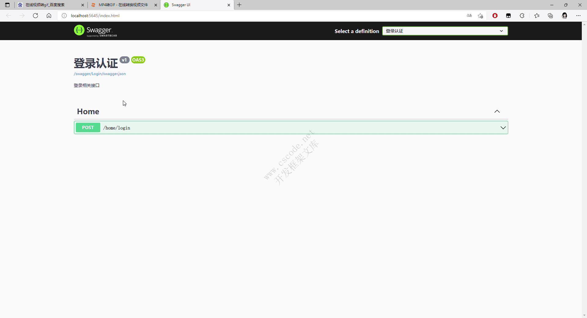 .NET Core 集成Swagger文档与自定义Swagger UI-C/S开发框架