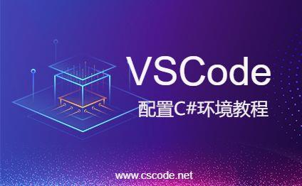 VSCode配置C#运行环境教程,vscode配置c#-C/S开发框架