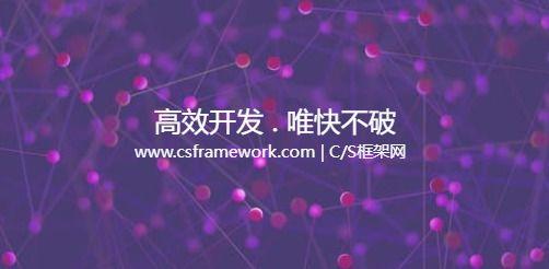 应收款（AR） | 实例源码 | C/S快速开发框架旗舰版V5|软件手册