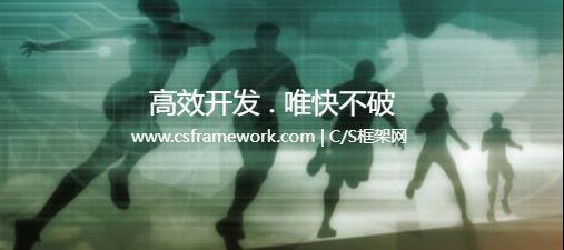 账款余额查询 | 实例源码 | C/S快速开发框架旗舰版V5|软件手册