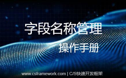 新功能：【字段名管理】自动填充字段的中文名称（字段标题）|C/S开发框架