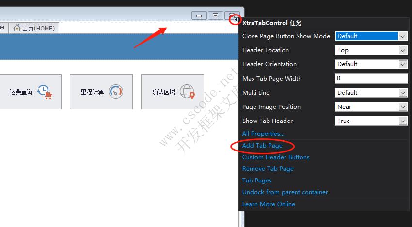 DevExpress XtraTabControl 组件添加一个TabPage并设置图标|C/S开发框架