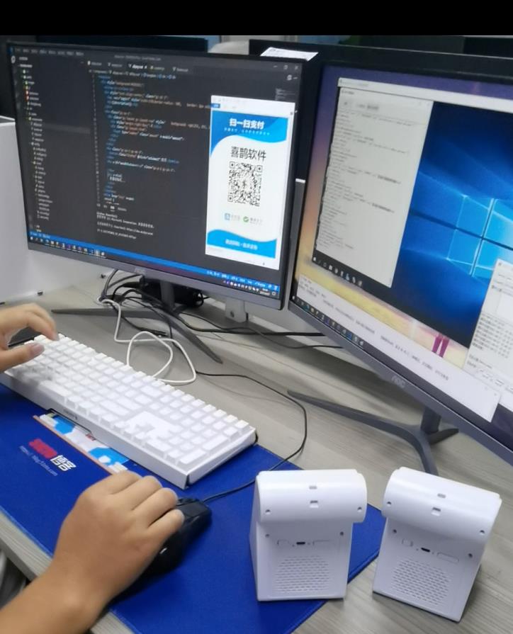 智能语音播报音箱收款播报机|收钱音箱|收款盒子4G版Wifi版（支持微信、支付宝）|C/S开发框架