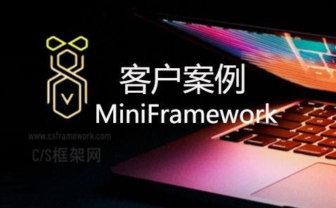 MiniFramework蝇量级开发框架成功案例|C/S开发框架