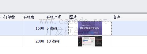 CSFrameworkV6 |软件开发平台 | 明细表图片处理机制|C/S开发框架