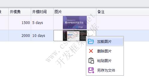 CSFrameworkV6 |软件开发平台 | 明细表图片处理机制|C/S开发框架