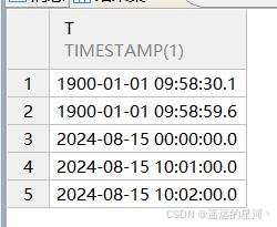 理解达梦支持的数据类型，以及相关作用